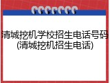 清城挖机学校招生电话号码(清城挖机招生电话)