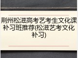 荆州松滋高考艺考生文化课补习班推荐(松滋艺考文化补习)