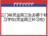 三门峡灵宝高三生去哪个补习学校(灵宝高三补习校)