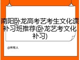 南阳卧龙高考艺考生文化课补习班推荐(卧龙艺考文化补习)