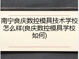 南宁良庆数控模具技术学校怎么样(良庆数控模具学校如何)
