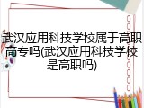 武汉应用科技学校属于高职高专吗(武汉应用科技学校是高职吗)