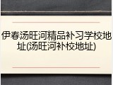 伊春汤旺河精品补习学校地址(汤旺河补校地址)