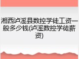 湘西泸溪县数控学徒工资一般多少钱(泸溪数控学徒薪资)