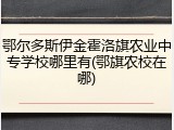 鄂尔多斯伊金霍洛旗农业中专学校哪里有(鄂旗农校在哪)