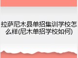 拉萨尼木县单招集训学校怎么样(尼木单招学校如何)