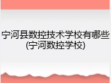 宁河县数控技术学校有哪些(宁河数控学校)