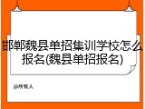 邯郸魏县单招集训学校怎么报名(魏县单招报名)