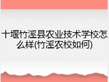 十堰竹溪县农业技术学校怎么样(竹溪农校如何)