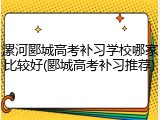 漯河郾城高考补习学校哪家比较好(郾城高考补习推荐)