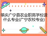 肇庆广宁县农业职高学校读什么专业(广宁农校专业)