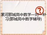 漯河郾城高中数学一对一补习(郾城高中数学辅导)