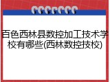 百色西林县数控加工技术学校有哪些(西林数控技校)