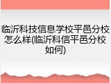 临沂科技信息学校平邑分校怎么样(临沂科信平邑分校如何)