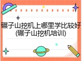 碾子山挖机上哪里学比较好(碾子山挖机培训)