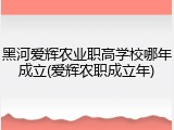 黑河爱辉农业职高学校哪年成立(爱辉农职成立年)
