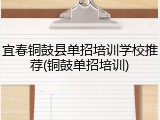 宜春铜鼓县单招培训学校推荐(铜鼓单招培训)