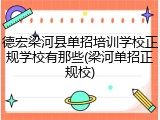 德宏梁河县单招培训学校正规学校有那些(梁河单招正规校)