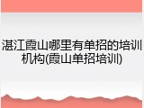湛江霞山哪里有单招的培训机构(霞山单招培训)