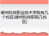 德州科技职业技术学院有几个校区(德州科技职院几校区)
