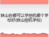 铁山在哪可以学挖机哪个学校好(铁山挖机学校)