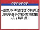 巴音郭楞博湖县数控机床培训班学费多少钱(博湖数控机床培训费)