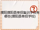 濮阳濮阳县单招集训学校有哪些(濮阳县单招学校)