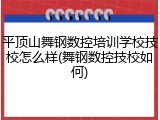平顶山舞钢数控培训学校技校怎么样(舞钢数控技校如何)