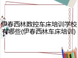 伊春西林数控车床培训学校有哪些(伊春西林车床培训)
