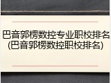 巴音郭楞数控专业职校排名(巴音郭楞数控职校排名)