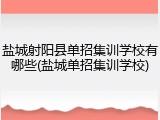 盐城射阳县单招集训学校有哪些(盐城单招集训学校)