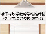 湛江赤坎学数控学校推荐技校吗(赤坎数控技校推荐)