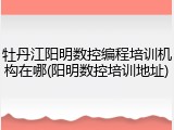 牡丹江阳明数控编程培训机构在哪(阳明数控培训地址)