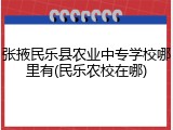 张掖民乐县农业中专学校哪里有(民乐农校在哪)