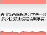 鞍山铁西编程培训学费一般多少钱(鞍山编程培训学费)
