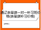 通辽奈曼旗一对一补习班价格(奈曼旗补习价格)