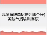 武汉黄陂单招培训哪个好(黄陂单招培训推荐)