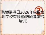 防城港港口2026年单招培训学校有哪些(防城港单招培训)