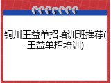 铜川王益单招培训班推荐(王益单招培训)
