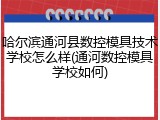 哈尔滨通河县数控模具技术学校怎么样(通河数控模具学校如何)