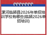 漯河临颍县2026年单招培训学校有哪些(临颍2026单招培训)