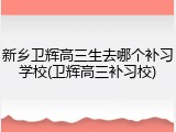 新乡卫辉高三生去哪个补习学校(卫辉高三补习校)