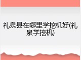 礼泉县在哪里学挖机好(礼泉学挖机)