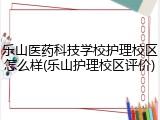 乐山医药科技学校护理校区怎么样(乐山护理校区评价)