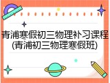 青浦寒假初三物理补习课程(青浦初三物理寒假班)