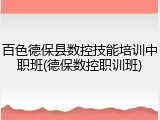 百色德保县数控技能培训中职班(德保数控职训班)