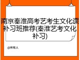 南京秦淮高考艺考生文化课补习班推荐(秦淮艺考文化补习)