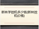 新林学挖机多少钱(新林挖机价格)