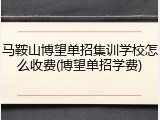 马鞍山博望单招集训学校怎么收费(博望单招学费)