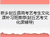 新乡封丘县高考艺考生文化课补习班推荐(封丘艺考文化课辅导)